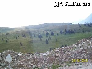[P08]  -- <small>// FĂRĂ DESCRIERE</small> » foto by DanTal74
 - 
<span class="allrVoted glyphicon glyphicon-heart hidden" id="av481138"></span>
<a class="m-l-10 hidden" id="sv481138" onclick="voting_Foto_DelVot(,481138,7149)" role="button">șterge vot <span class="glyphicon glyphicon-remove"></span></a>
<a id="v9481138" class=" c-red"  onclick="voting_Foto_SetVot(481138)" role="button"><span class="glyphicon glyphicon-heart-empty"></span> <b>LIKE</b> = Votează poza</a> <img class="hidden"  id="f481138W9" src="/imagini/loader.gif" border="0" /><span class="AjErrMes hidden" id="e481138ErM"></span>