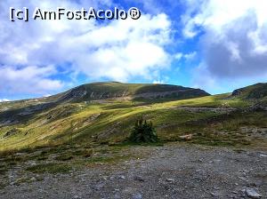 [P32] Transalpina, drumul dintre Novaci si Obarsia Lotrului » foto by Dana2008
 - 
<span class="allrVoted glyphicon glyphicon-heart hidden" id="av924637"></span>
<a class="m-l-10 hidden" id="sv924637" onclick="voting_Foto_DelVot(,924637,7149)" role="button">șterge vot <span class="glyphicon glyphicon-remove"></span></a>
<a id="v9924637" class=" c-red"  onclick="voting_Foto_SetVot(924637)" role="button"><span class="glyphicon glyphicon-heart-empty"></span> <b>LIKE</b> = Votează poza</a> <img class="hidden"  id="f924637W9" src="/imagini/loader.gif" border="0" /><span class="AjErrMes hidden" id="e924637ErM"></span>