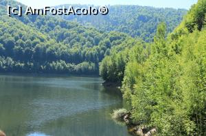 [P08] Lacul Oașa » foto by Dana2008
 - 
<span class="allrVoted glyphicon glyphicon-heart hidden" id="av933531"></span>
<a class="m-l-10 hidden" id="sv933531" onclick="voting_Foto_DelVot(,933531,7149)" role="button">șterge vot <span class="glyphicon glyphicon-remove"></span></a>
<a id="v9933531" class=" c-red"  onclick="voting_Foto_SetVot(933531)" role="button"><span class="glyphicon glyphicon-heart-empty"></span> <b>LIKE</b> = Votează poza</a> <img class="hidden"  id="f933531W9" src="/imagini/loader.gif" border="0" /><span class="AjErrMes hidden" id="e933531ErM"></span>