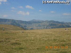 [P13] peisaj transalpina » foto by zlatna
 - 
<span class="allrVoted glyphicon glyphicon-heart hidden" id="av661858"></span>
<a class="m-l-10 hidden" id="sv661858" onclick="voting_Foto_DelVot(,661858,7149)" role="button">șterge vot <span class="glyphicon glyphicon-remove"></span></a>
<a id="v9661858" class=" c-red"  onclick="voting_Foto_SetVot(661858)" role="button"><span class="glyphicon glyphicon-heart-empty"></span> <b>LIKE</b> = Votează poza</a> <img class="hidden"  id="f661858W9" src="/imagini/loader.gif" border="0" /><span class="AjErrMes hidden" id="e661858ErM"></span>