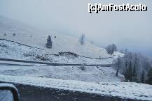 [P23] Transalpina - inceputul iernii ne-a gasit nepregatiti » foto by deliutza27
 - 
<span class="allrVoted glyphicon glyphicon-heart hidden" id="av157070"></span>
<a class="m-l-10 hidden" id="sv157070" onclick="voting_Foto_DelVot(,157070,7149)" role="button">șterge vot <span class="glyphicon glyphicon-remove"></span></a>
<a id="v9157070" class=" c-red"  onclick="voting_Foto_SetVot(157070)" role="button"><span class="glyphicon glyphicon-heart-empty"></span> <b>LIKE</b> = Votează poza</a> <img class="hidden"  id="f157070W9" src="/imagini/loader.gif" border="0" /><span class="AjErrMes hidden" id="e157070ErM"></span>