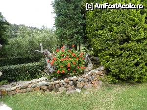 [P22] Athena Pallace Village - Sithonia/Chalkidiki -mai2013 » foto by ionescunic
 - 
<span class="allrVoted glyphicon glyphicon-heart hidden" id="av477077"></span>
<a class="m-l-10 hidden" id="sv477077" onclick="voting_Foto_DelVot(,477077,7150)" role="button">șterge vot <span class="glyphicon glyphicon-remove"></span></a>
<a id="v9477077" class=" c-red"  onclick="voting_Foto_SetVot(477077)" role="button"><span class="glyphicon glyphicon-heart-empty"></span> <b>LIKE</b> = Votează poza</a> <img class="hidden"  id="f477077W9" src="/imagini/loader.gif" border="0" /><span class="AjErrMes hidden" id="e477077ErM"></span>