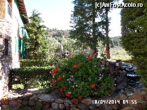 [P05] Un aranjament floral acompaniat de un clipocit de apă, în grădina hotelului » foto by Alina53
 - 
<span class="allrVoted glyphicon glyphicon-heart hidden" id="av581980"></span>
<a class="m-l-10 hidden" id="sv581980" onclick="voting_Foto_DelVot(,581980,7150)" role="button">șterge vot <span class="glyphicon glyphicon-remove"></span></a>
<a id="v9581980" class=" c-red"  onclick="voting_Foto_SetVot(581980)" role="button"><span class="glyphicon glyphicon-heart-empty"></span> <b>LIKE</b> = Votează poza</a> <img class="hidden"  id="f581980W9" src="/imagini/loader.gif" border="0" /><span class="AjErrMes hidden" id="e581980ErM"></span>