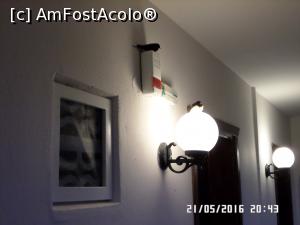 [P14] Lângă ușa noastră, două rândunele blânde ne urau o noapte bună » foto by Alina53
 - 
<span class="allrVoted glyphicon glyphicon-heart hidden" id="av765811"></span>
<a class="m-l-10 hidden" id="sv765811" onclick="voting_Foto_DelVot(,765811,7150)" role="button">șterge vot <span class="glyphicon glyphicon-remove"></span></a>
<a id="v9765811" class=" c-red"  onclick="voting_Foto_SetVot(765811)" role="button"><span class="glyphicon glyphicon-heart-empty"></span> <b>LIKE</b> = Votează poza</a> <img class="hidden"  id="f765811W9" src="/imagini/loader.gif" border="0" /><span class="AjErrMes hidden" id="e765811ErM"></span>