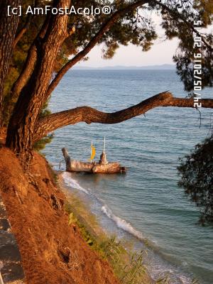 [P03] Plaja hotelului în lumina blândă a apusului de soare » foto by Alina53
 - 
<span class="allrVoted glyphicon glyphicon-heart hidden" id="av765800"></span>
<a class="m-l-10 hidden" id="sv765800" onclick="voting_Foto_DelVot(,765800,7150)" role="button">șterge vot <span class="glyphicon glyphicon-remove"></span></a>
<a id="v9765800" class=" c-red"  onclick="voting_Foto_SetVot(765800)" role="button"><span class="glyphicon glyphicon-heart-empty"></span> <b>LIKE</b> = Votează poza</a> <img class="hidden"  id="f765800W9" src="/imagini/loader.gif" border="0" /><span class="AjErrMes hidden" id="e765800ErM"></span>