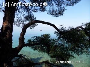 [P34] Bărcuță pescărească privită de la înălțimea terasei » foto by Alina53
 - 
<span class="allrVoted glyphicon glyphicon-heart hidden" id="av765831"></span>
<a class="m-l-10 hidden" id="sv765831" onclick="voting_Foto_DelVot(,765831,7150)" role="button">șterge vot <span class="glyphicon glyphicon-remove"></span></a>
<a id="v9765831" class=" c-red"  onclick="voting_Foto_SetVot(765831)" role="button"><span class="glyphicon glyphicon-heart-empty"></span> <b>LIKE</b> = Votează poza</a> <img class="hidden"  id="f765831W9" src="/imagini/loader.gif" border="0" /><span class="AjErrMes hidden" id="e765831ErM"></span>