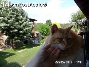 [P45] Una dintre favorite » foto by Alina53
 - 
<span class="allrVoted glyphicon glyphicon-heart hidden" id="av765842"></span>
<a class="m-l-10 hidden" id="sv765842" onclick="voting_Foto_DelVot(,765842,7150)" role="button">șterge vot <span class="glyphicon glyphicon-remove"></span></a>
<a id="v9765842" class=" c-red"  onclick="voting_Foto_SetVot(765842)" role="button"><span class="glyphicon glyphicon-heart-empty"></span> <b>LIKE</b> = Votează poza</a> <img class="hidden"  id="f765842W9" src="/imagini/loader.gif" border="0" /><span class="AjErrMes hidden" id="e765842ErM"></span>