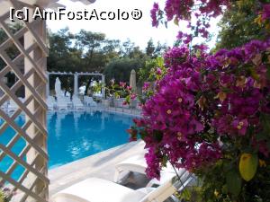 [P79]  -- <small>// FĂRĂ DESCRIERE</small> » foto by Alina53
 - 
<span class="allrVoted glyphicon glyphicon-heart hidden" id="av765876"></span>
<a class="m-l-10 hidden" id="sv765876" onclick="voting_Foto_DelVot(,765876,7150)" role="button">șterge vot <span class="glyphicon glyphicon-remove"></span></a>
<a id="v9765876" class=" c-red"  onclick="voting_Foto_SetVot(765876)" role="button"><span class="glyphicon glyphicon-heart-empty"></span> <b>LIKE</b> = Votează poza</a> <img class="hidden"  id="f765876W9" src="/imagini/loader.gif" border="0" /><span class="AjErrMes hidden" id="e765876ErM"></span>