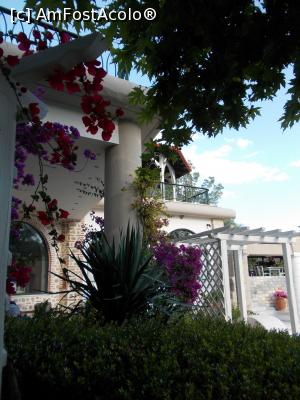 [P80]  -- <small>// FĂRĂ DESCRIERE</small> » foto by Alina53
 - 
<span class="allrVoted glyphicon glyphicon-heart hidden" id="av765877"></span>
<a class="m-l-10 hidden" id="sv765877" onclick="voting_Foto_DelVot(,765877,7150)" role="button">șterge vot <span class="glyphicon glyphicon-remove"></span></a>
<a id="v9765877" class=" c-red"  onclick="voting_Foto_SetVot(765877)" role="button"><span class="glyphicon glyphicon-heart-empty"></span> <b>LIKE</b> = Votează poza</a> <img class="hidden"  id="f765877W9" src="/imagini/loader.gif" border="0" /><span class="AjErrMes hidden" id="e765877ErM"></span>