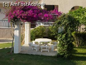 [P86]  -- <small>// FĂRĂ DESCRIERE</small> » foto by Alina53
 - 
<span class="allrVoted glyphicon glyphicon-heart hidden" id="av765883"></span>
<a class="m-l-10 hidden" id="sv765883" onclick="voting_Foto_DelVot(,765883,7150)" role="button">șterge vot <span class="glyphicon glyphicon-remove"></span></a>
<a id="v9765883" class=" c-red"  onclick="voting_Foto_SetVot(765883)" role="button"><span class="glyphicon glyphicon-heart-empty"></span> <b>LIKE</b> = Votează poza</a> <img class="hidden"  id="f765883W9" src="/imagini/loader.gif" border="0" /><span class="AjErrMes hidden" id="e765883ErM"></span>