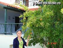 [P19]  -- <small>// FĂRĂ DESCRIERE</small> » foto by susu
 - 
<span class="allrVoted glyphicon glyphicon-heart hidden" id="av124103"></span>
<a class="m-l-10 hidden" id="sv124103" onclick="voting_Foto_DelVot(,124103,7150)" role="button">șterge vot <span class="glyphicon glyphicon-remove"></span></a>
<a id="v9124103" class=" c-red"  onclick="voting_Foto_SetVot(124103)" role="button"><span class="glyphicon glyphicon-heart-empty"></span> <b>LIKE</b> = Votează poza</a> <img class="hidden"  id="f124103W9" src="/imagini/loader.gif" border="0" /><span class="AjErrMes hidden" id="e124103ErM"></span>