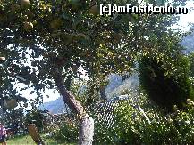 [P28] in curte » foto by silvia tudoran
 - 
<span class="allrVoted glyphicon glyphicon-heart hidden" id="av363524"></span>
<a class="m-l-10 hidden" id="sv363524" onclick="voting_Foto_DelVot(,363524,7152)" role="button">șterge vot <span class="glyphicon glyphicon-remove"></span></a>
<a id="v9363524" class=" c-red"  onclick="voting_Foto_SetVot(363524)" role="button"><span class="glyphicon glyphicon-heart-empty"></span> <b>LIKE</b> = Votează poza</a> <img class="hidden"  id="f363524W9" src="/imagini/loader.gif" border="0" /><span class="AjErrMes hidden" id="e363524ErM"></span>