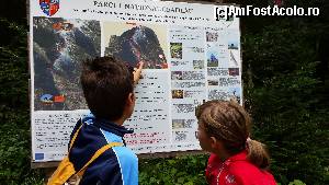 [P02] in Parcul National Ceahlau » foto by raducondurache
 - 
<span class="allrVoted glyphicon glyphicon-heart hidden" id="av549427"></span>
<a class="m-l-10 hidden" id="sv549427" onclick="voting_Foto_DelVot(,549427,7157)" role="button">șterge vot <span class="glyphicon glyphicon-remove"></span></a>
<a id="v9549427" class=" c-red"  onclick="voting_Foto_SetVot(549427)" role="button"><span class="glyphicon glyphicon-heart-empty"></span> <b>LIKE</b> = Votează poza</a> <img class="hidden"  id="f549427W9" src="/imagini/loader.gif" border="0" /><span class="AjErrMes hidden" id="e549427ErM"></span>