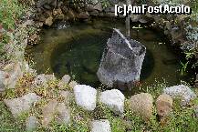 [P08] Fantana cu pastravi la Pensiunea Vanatorul din Durau » foto by Lumis66
 - 
<span class="allrVoted glyphicon glyphicon-heart hidden" id="av270806"></span>
<a class="m-l-10 hidden" id="sv270806" onclick="voting_Foto_DelVot(,270806,7157)" role="button">șterge vot <span class="glyphicon glyphicon-remove"></span></a>
<a id="v9270806" class=" c-red"  onclick="voting_Foto_SetVot(270806)" role="button"><span class="glyphicon glyphicon-heart-empty"></span> <b>LIKE</b> = Votează poza</a> <img class="hidden"  id="f270806W9" src="/imagini/loader.gif" border="0" /><span class="AjErrMes hidden" id="e270806ErM"></span>