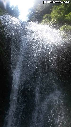 [P05] Cascada Duruitoarea (vedere aproape din apă!)  » foto by Rofri
 - 
<span class="allrVoted glyphicon glyphicon-heart hidden" id="av646231"></span>
<a class="m-l-10 hidden" id="sv646231" onclick="voting_Foto_DelVot(,646231,7157)" role="button">șterge vot <span class="glyphicon glyphicon-remove"></span></a>
<a id="v9646231" class=" c-red"  onclick="voting_Foto_SetVot(646231)" role="button"><span class="glyphicon glyphicon-heart-empty"></span> <b>LIKE</b> = Votează poza</a> <img class="hidden"  id="f646231W9" src="/imagini/loader.gif" border="0" /><span class="AjErrMes hidden" id="e646231ErM"></span>