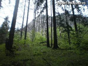[P12] Vedere spre culmile mărețe ale Ceahlăului - pe traseul de legătură dinspre Duruitoarea spre Fântânele, pe la Poiana Viezuri.  » foto by izabiza
 - 
<span class="allrVoted glyphicon glyphicon-heart hidden" id="av644642"></span>
<a class="m-l-10 hidden" id="sv644642" onclick="voting_Foto_DelVot(,644642,7157)" role="button">șterge vot <span class="glyphicon glyphicon-remove"></span></a>
<a id="v9644642" class=" c-red"  onclick="voting_Foto_SetVot(644642)" role="button"><span class="glyphicon glyphicon-heart-empty"></span> <b>LIKE</b> = Votează poza</a> <img class="hidden"  id="f644642W9" src="/imagini/loader.gif" border="0" /><span class="AjErrMes hidden" id="e644642ErM"></span>