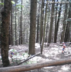 [P13] Maratoniști Montani - au urcat alergând pe la Duruitoarea până la Dochia. Coboară tot alergând pe la Fântânele în Durău.  » foto by izabiza
 - 
<span class="allrVoted glyphicon glyphicon-heart hidden" id="av644643"></span>
<a class="m-l-10 hidden" id="sv644643" onclick="voting_Foto_DelVot(,644643,7157)" role="button">șterge vot <span class="glyphicon glyphicon-remove"></span></a>
<a id="v9644643" class=" c-red"  onclick="voting_Foto_SetVot(644643)" role="button"><span class="glyphicon glyphicon-heart-empty"></span> <b>LIKE</b> = Votează poza</a> <img class="hidden"  id="f644643W9" src="/imagini/loader.gif" border="0" /><span class="AjErrMes hidden" id="e644643ErM"></span>