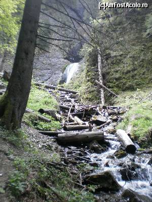 [P07] După aproximativ 1 oră de când am plecat din Durău, la pas ușor, ne apropiem de Cascada Duruitoarea. Aerul e mai rece și zgomotos.  » foto by izabiza
 - 
<span class="allrVoted glyphicon glyphicon-heart hidden" id="av644637"></span>
<a class="m-l-10 hidden" id="sv644637" onclick="voting_Foto_DelVot(,644637,7157)" role="button">șterge vot <span class="glyphicon glyphicon-remove"></span></a>
<a id="v9644637" class=" c-red"  onclick="voting_Foto_SetVot(644637)" role="button"><span class="glyphicon glyphicon-heart-empty"></span> <b>LIKE</b> = Votează poza</a> <img class="hidden"  id="f644637W9" src="/imagini/loader.gif" border="0" /><span class="AjErrMes hidden" id="e644637ErM"></span>