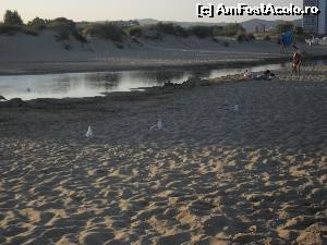 [P12] Spre seară pescărușii, în număr mare, își recăpătau teritoriul.  » foto by amalia80
 - 
<span class="allrVoted glyphicon glyphicon-heart hidden" id="av650559"></span>
<a class="m-l-10 hidden" id="sv650559" onclick="voting_Foto_DelVot(,650559,7174)" role="button">șterge vot <span class="glyphicon glyphicon-remove"></span></a>
<a id="v9650559" class=" c-red"  onclick="voting_Foto_SetVot(650559)" role="button"><span class="glyphicon glyphicon-heart-empty"></span> <b>LIKE</b> = Votează poza</a> <img class="hidden"  id="f650559W9" src="/imagini/loader.gif" border="0" /><span class="AjErrMes hidden" id="e650559ErM"></span>