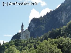 [P32] Castelul Neuschwanstein » foto by RoxanaGRS
 - 
<span class="allrVoted glyphicon glyphicon-heart hidden" id="av924016"></span>
<a class="m-l-10 hidden" id="sv924016" onclick="voting_Foto_DelVot(,924016,7186)" role="button">șterge vot <span class="glyphicon glyphicon-remove"></span></a>
<a id="v9924016" class=" c-red"  onclick="voting_Foto_SetVot(924016)" role="button"><span class="glyphicon glyphicon-heart-empty"></span> <b>LIKE</b> = Votează poza</a> <img class="hidden"  id="f924016W9" src="/imagini/loader.gif" border="0" /><span class="AjErrMes hidden" id="e924016ErM"></span>