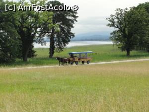 [P08] Castelul Herrenchiemsee - trăsurica cu care vă puteți plimba prin parc » foto by RoxanaGRS
 - 
<span class="allrVoted glyphicon glyphicon-heart hidden" id="av923945"></span>
<a class="m-l-10 hidden" id="sv923945" onclick="voting_Foto_DelVot(,923945,7186)" role="button">șterge vot <span class="glyphicon glyphicon-remove"></span></a>
<a id="v9923945" class=" c-red"  onclick="voting_Foto_SetVot(923945)" role="button"><span class="glyphicon glyphicon-heart-empty"></span> <b>LIKE</b> = Votează poza</a> <img class="hidden"  id="f923945W9" src="/imagini/loader.gif" border="0" /><span class="AjErrMes hidden" id="e923945ErM"></span>