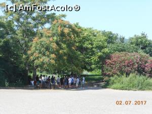 [P45] Vergina - Se așteaptă intrarea în situl arheologic.  » foto by iulianic
 - 
<span class="allrVoted glyphicon glyphicon-heart hidden" id="av872046"></span>
<a class="m-l-10 hidden" id="sv872046" onclick="voting_Foto_DelVot(,872046,7202)" role="button">șterge vot <span class="glyphicon glyphicon-remove"></span></a>
<a id="v9872046" class=" c-red"  onclick="voting_Foto_SetVot(872046)" role="button"><span class="glyphicon glyphicon-heart-empty"></span> <b>LIKE</b> = Votează poza</a> <img class="hidden"  id="f872046W9" src="/imagini/loader.gif" border="0" /><span class="AjErrMes hidden" id="e872046ErM"></span>