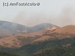 [P21] Dansul necontrolat al flacarilor » foto by monik-50
 - 
<span class="allrVoted glyphicon glyphicon-heart hidden" id="av912418"></span>
<a class="m-l-10 hidden" id="sv912418" onclick="voting_Foto_DelVot(,912418,7202)" role="button">șterge vot <span class="glyphicon glyphicon-remove"></span></a>
<a id="v9912418" class=" c-red"  onclick="voting_Foto_SetVot(912418)" role="button"><span class="glyphicon glyphicon-heart-empty"></span> <b>LIKE</b> = Votează poza</a> <img class="hidden"  id="f912418W9" src="/imagini/loader.gif" border="0" /><span class="AjErrMes hidden" id="e912418ErM"></span>