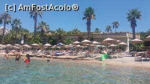 [P01] O parte din plaja » foto by stefan.b
 - 
<span class="allrVoted glyphicon glyphicon-heart hidden" id="av1092421"></span>
<a class="m-l-10 hidden" id="sv1092421" onclick="voting_Foto_DelVot(,1092421,7207)" role="button">șterge vot <span class="glyphicon glyphicon-remove"></span></a>
<a id="v91092421" class=" c-red"  onclick="voting_Foto_SetVot(1092421)" role="button"><span class="glyphicon glyphicon-heart-empty"></span> <b>LIKE</b> = Votează poza</a> <img class="hidden"  id="f1092421W9" src="/imagini/loader.gif" border="0" /><span class="AjErrMes hidden" id="e1092421ErM"></span>