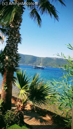 [P02] Marea Egee » foto by stefan.b
 - 
<span class="allrVoted glyphicon glyphicon-heart hidden" id="av1092422"></span>
<a class="m-l-10 hidden" id="sv1092422" onclick="voting_Foto_DelVot(,1092422,7207)" role="button">șterge vot <span class="glyphicon glyphicon-remove"></span></a>
<a id="v91092422" class=" c-red"  onclick="voting_Foto_SetVot(1092422)" role="button"><span class="glyphicon glyphicon-heart-empty"></span> <b>LIKE</b> = Votează poza</a> <img class="hidden"  id="f1092422W9" src="/imagini/loader.gif" border="0" /><span class="AjErrMes hidden" id="e1092422ErM"></span>