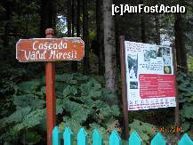 [P12] Printre brazi se poate observa cascada » foto by Alina Morar
 - 
<span class="allrVoted glyphicon glyphicon-heart hidden" id="av128519"></span>
<a class="m-l-10 hidden" id="sv128519" onclick="voting_Foto_DelVot(,128519,7213)" role="button">șterge vot <span class="glyphicon glyphicon-remove"></span></a>
<a id="v9128519" class=" c-red"  onclick="voting_Foto_SetVot(128519)" role="button"><span class="glyphicon glyphicon-heart-empty"></span> <b>LIKE</b> = Votează poza</a> <img class="hidden"  id="f128519W9" src="/imagini/loader.gif" border="0" /><span class="AjErrMes hidden" id="e128519ErM"></span>