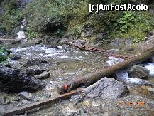 [P17] Pe aici puteti trece apa pt a privi cascada si din alt unghi » foto by Alina Morar
 - 
<span class="allrVoted glyphicon glyphicon-heart hidden" id="av128524"></span>
<a class="m-l-10 hidden" id="sv128524" onclick="voting_Foto_DelVot(,128524,7213)" role="button">șterge vot <span class="glyphicon glyphicon-remove"></span></a>
<a id="v9128524" class=" c-red"  onclick="voting_Foto_SetVot(128524)" role="button"><span class="glyphicon glyphicon-heart-empty"></span> <b>LIKE</b> = Votează poza</a> <img class="hidden"  id="f128524W9" src="/imagini/loader.gif" border="0" /><span class="AjErrMes hidden" id="e128524ErM"></span>