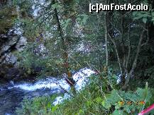 [P29]  -- <small>// FĂRĂ DESCRIERE</small> » foto by Alina Morar
 - 
<span class="allrVoted glyphicon glyphicon-heart hidden" id="av128546"></span>
<a class="m-l-10 hidden" id="sv128546" onclick="voting_Foto_DelVot(,128546,7213)" role="button">șterge vot <span class="glyphicon glyphicon-remove"></span></a>
<a id="v9128546" class=" c-red"  onclick="voting_Foto_SetVot(128546)" role="button"><span class="glyphicon glyphicon-heart-empty"></span> <b>LIKE</b> = Votează poza</a> <img class="hidden"  id="f128546W9" src="/imagini/loader.gif" border="0" /><span class="AjErrMes hidden" id="e128546ErM"></span>