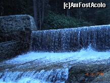 [P31]  -- <small>// FĂRĂ DESCRIERE</small> » foto by Alina Morar
 - 
<span class="allrVoted glyphicon glyphicon-heart hidden" id="av128548"></span>
<a class="m-l-10 hidden" id="sv128548" onclick="voting_Foto_DelVot(,128548,7213)" role="button">șterge vot <span class="glyphicon glyphicon-remove"></span></a>
<a id="v9128548" class=" c-red"  onclick="voting_Foto_SetVot(128548)" role="button"><span class="glyphicon glyphicon-heart-empty"></span> <b>LIKE</b> = Votează poza</a> <img class="hidden"  id="f128548W9" src="/imagini/loader.gif" border="0" /><span class="AjErrMes hidden" id="e128548ErM"></span>