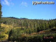 [P32] Pana aici am urcat cu masina » foto by Alina Morar
 - 
<span class="allrVoted glyphicon glyphicon-heart hidden" id="av128549"></span>
<a class="m-l-10 hidden" id="sv128549" onclick="voting_Foto_DelVot(,128549,7213)" role="button">șterge vot <span class="glyphicon glyphicon-remove"></span></a>
<a id="v9128549" class=" c-red"  onclick="voting_Foto_SetVot(128549)" role="button"><span class="glyphicon glyphicon-heart-empty"></span> <b>LIKE</b> = Votează poza</a> <img class="hidden"  id="f128549W9" src="/imagini/loader.gif" border="0" /><span class="AjErrMes hidden" id="e128549ErM"></span>