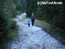 [P42]  -- <small>// FĂRĂ DESCRIERE</small> » foto by Alina Morar
 - 
<span class="allrVoted glyphicon glyphicon-heart hidden" id="av128559"></span>
<a class="m-l-10 hidden" id="sv128559" onclick="voting_Foto_DelVot(,128559,7213)" role="button">șterge vot <span class="glyphicon glyphicon-remove"></span></a>
<a id="v9128559" class=" c-red"  onclick="voting_Foto_SetVot(128559)" role="button"><span class="glyphicon glyphicon-heart-empty"></span> <b>LIKE</b> = Votează poza</a> <img class="hidden"  id="f128559W9" src="/imagini/loader.gif" border="0" /><span class="AjErrMes hidden" id="e128559ErM"></span>