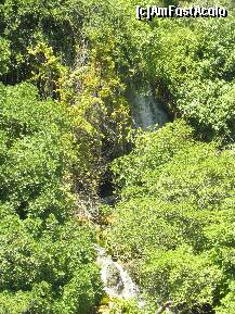 [P22] Cascada Kravice - apa isi cauta drum prin vegetatia bogata » foto by marius.covaci
 - 
<span class="allrVoted glyphicon glyphicon-heart hidden" id="av143721"></span>
<a class="m-l-10 hidden" id="sv143721" onclick="voting_Foto_DelVot(,143721,7233)" role="button">șterge vot <span class="glyphicon glyphicon-remove"></span></a>
<a id="v9143721" class=" c-red"  onclick="voting_Foto_SetVot(143721)" role="button"><span class="glyphicon glyphicon-heart-empty"></span> <b>LIKE</b> = Votează poza</a> <img class="hidden"  id="f143721W9" src="/imagini/loader.gif" border="0" /><span class="AjErrMes hidden" id="e143721ErM"></span>
