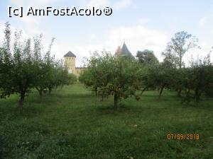 [P26] Imagini din livadă » foto by adso
 - 
<span class="allrVoted glyphicon glyphicon-heart hidden" id="av1266726"></span>
<a class="m-l-10 hidden" id="sv1266726" onclick="voting_Foto_DelVot(,1266726,7245)" role="button">șterge vot <span class="glyphicon glyphicon-remove"></span></a>
<a id="v91266726" class=" c-red"  onclick="voting_Foto_SetVot(1266726)" role="button"><span class="glyphicon glyphicon-heart-empty"></span> <b>LIKE</b> = Votează poza</a> <img class="hidden"  id="f1266726W9" src="/imagini/loader.gif" border="0" /><span class="AjErrMes hidden" id="e1266726ErM"></span>