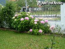 [P10] gradina pensiunii edem » foto by Andc
 - 
<span class="allrVoted glyphicon glyphicon-heart hidden" id="av127401"></span>
<a class="m-l-10 hidden" id="sv127401" onclick="voting_Foto_DelVot(,127401,7261)" role="button">șterge vot <span class="glyphicon glyphicon-remove"></span></a>
<a id="v9127401" class=" c-red"  onclick="voting_Foto_SetVot(127401)" role="button"><span class="glyphicon glyphicon-heart-empty"></span> <b>LIKE</b> = Votează poza</a> <img class="hidden"  id="f127401W9" src="/imagini/loader.gif" border="0" /><span class="AjErrMes hidden" id="e127401ErM"></span>