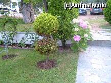 [P04] spre parcare in curte la edem » foto by Andc
 - 
<span class="allrVoted glyphicon glyphicon-heart hidden" id="av127395"></span>
<a class="m-l-10 hidden" id="sv127395" onclick="voting_Foto_DelVot(,127395,7261)" role="button">șterge vot <span class="glyphicon glyphicon-remove"></span></a>
<a id="v9127395" class=" c-red"  onclick="voting_Foto_SetVot(127395)" role="button"><span class="glyphicon glyphicon-heart-empty"></span> <b>LIKE</b> = Votează poza</a> <img class="hidden"  id="f127395W9" src="/imagini/loader.gif" border="0" /><span class="AjErrMes hidden" id="e127395ErM"></span>