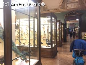 [P15] Viena - Muzeul de istorie Naturala - si o vedere mai de ansamblu » foto by mishu
 - 
<span class="allrVoted glyphicon glyphicon-heart hidden" id="av827922"></span>
<a class="m-l-10 hidden" id="sv827922" onclick="voting_Foto_DelVot(,827922,7265)" role="button">șterge vot <span class="glyphicon glyphicon-remove"></span></a>
<a id="v9827922" class=" c-red"  onclick="voting_Foto_SetVot(827922)" role="button"><span class="glyphicon glyphicon-heart-empty"></span> <b>LIKE</b> = Votează poza</a> <img class="hidden"  id="f827922W9" src="/imagini/loader.gif" border="0" /><span class="AjErrMes hidden" id="e827922ErM"></span>