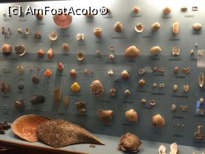 [P42] Viena - Muzeul de istorie Naturala » foto by mishu
 - 
<span class="allrVoted glyphicon glyphicon-heart hidden" id="av827949"></span>
<a class="m-l-10 hidden" id="sv827949" onclick="voting_Foto_DelVot(,827949,7265)" role="button">șterge vot <span class="glyphicon glyphicon-remove"></span></a>
<a id="v9827949" class=" c-red"  onclick="voting_Foto_SetVot(827949)" role="button"><span class="glyphicon glyphicon-heart-empty"></span> <b>LIKE</b> = Votează poza</a> <img class="hidden"  id="f827949W9" src="/imagini/loader.gif" border="0" /><span class="AjErrMes hidden" id="e827949ErM"></span>