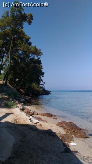 [P18] Iarasi Pachis, in nord.  » foto by Radix7
 - 
<span class="allrVoted glyphicon glyphicon-heart hidden" id="av880027"></span>
<a class="m-l-10 hidden" id="sv880027" onclick="voting_Foto_DelVot(,880027,7269)" role="button">șterge vot <span class="glyphicon glyphicon-remove"></span></a>
<a id="v9880027" class=" c-red"  onclick="voting_Foto_SetVot(880027)" role="button"><span class="glyphicon glyphicon-heart-empty"></span> <b>LIKE</b> = Votează poza</a> <img class="hidden"  id="f880027W9" src="/imagini/loader.gif" border="0" /><span class="AjErrMes hidden" id="e880027ErM"></span>