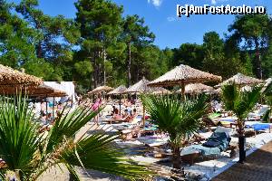 [P14] La Scala Beach » foto by mirmicu
 - 
<span class="allrVoted glyphicon glyphicon-heart hidden" id="av638009"></span>
<a class="m-l-10 hidden" id="sv638009" onclick="voting_Foto_DelVot(,638009,7269)" role="button">șterge vot <span class="glyphicon glyphicon-remove"></span></a>
<a id="v9638009" class=" c-red"  onclick="voting_Foto_SetVot(638009)" role="button"><span class="glyphicon glyphicon-heart-empty"></span> <b>LIKE</b> = Votează poza</a> <img class="hidden"  id="f638009W9" src="/imagini/loader.gif" border="0" /><span class="AjErrMes hidden" id="e638009ErM"></span>
