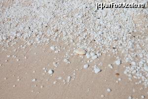 [P10] plaja Marble Beach » foto by dranal
 - 
<span class="allrVoted glyphicon glyphicon-heart hidden" id="av670456"></span>
<a class="m-l-10 hidden" id="sv670456" onclick="voting_Foto_DelVot(,670456,7269)" role="button">șterge vot <span class="glyphicon glyphicon-remove"></span></a>
<a id="v9670456" class=" c-red"  onclick="voting_Foto_SetVot(670456)" role="button"><span class="glyphicon glyphicon-heart-empty"></span> <b>LIKE</b> = Votează poza</a> <img class="hidden"  id="f670456W9" src="/imagini/loader.gif" border="0" /><span class="AjErrMes hidden" id="e670456ErM"></span>