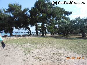 [P34] Plajele din Thassos - Pachi Beach.  » foto by iulianic
 - 
<span class="allrVoted glyphicon glyphicon-heart hidden" id="av522638"></span>
<a class="m-l-10 hidden" id="sv522638" onclick="voting_Foto_DelVot(,522638,7269)" role="button">șterge vot <span class="glyphicon glyphicon-remove"></span></a>
<a id="v9522638" class=" c-red"  onclick="voting_Foto_SetVot(522638)" role="button"><span class="glyphicon glyphicon-heart-empty"></span> <b>LIKE</b> = Votează poza</a> <img class="hidden"  id="f522638W9" src="/imagini/loader.gif" border="0" /><span class="AjErrMes hidden" id="e522638ErM"></span>