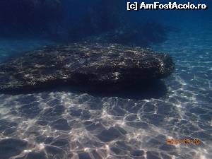 [P12] La Golden Beach- apa este atat de limpede incat si la o adancime mai mare se vede ca in acvariu, lumina este foarte buna. Aici-un peste solitar (cred ca acel sea-bass) si stancile submarine.  » foto by andre cristoiu
 - 
<span class="allrVoted glyphicon glyphicon-heart hidden" id="av519820"></span>
<a class="m-l-10 hidden" id="sv519820" onclick="voting_Foto_DelVot(,519820,7269)" role="button">șterge vot <span class="glyphicon glyphicon-remove"></span></a>
<a id="v9519820" class=" c-red"  onclick="voting_Foto_SetVot(519820)" role="button"><span class="glyphicon glyphicon-heart-empty"></span> <b>LIKE</b> = Votează poza</a> <img class="hidden"  id="f519820W9" src="/imagini/loader.gif" border="0" /><span class="AjErrMes hidden" id="e519820ErM"></span>
