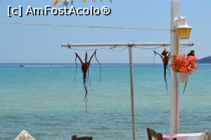 [P32] Decor de restaurant de la plaja Golden » foto by AZE
 - 
<span class="allrVoted glyphicon glyphicon-heart hidden" id="av734471"></span>
<a class="m-l-10 hidden" id="sv734471" onclick="voting_Foto_DelVot(,734471,7269)" role="button">șterge vot <span class="glyphicon glyphicon-remove"></span></a>
<a id="v9734471" class=" c-red"  onclick="voting_Foto_SetVot(734471)" role="button"><span class="glyphicon glyphicon-heart-empty"></span> <b>LIKE</b> = Votează poza</a> <img class="hidden"  id="f734471W9" src="/imagini/loader.gif" border="0" /><span class="AjErrMes hidden" id="e734471ErM"></span>