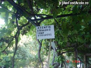 [P67] Pe terasa la Spalatoria de Masini Romanesti » foto by crismis
 - 
<span class="allrVoted glyphicon glyphicon-heart hidden" id="av570843"></span>
<a class="m-l-10 hidden" id="sv570843" onclick="voting_Foto_DelVot(,570843,7269)" role="button">șterge vot <span class="glyphicon glyphicon-remove"></span></a>
<a id="v9570843" class=" c-red"  onclick="voting_Foto_SetVot(570843)" role="button"><span class="glyphicon glyphicon-heart-empty"></span> <b>LIKE</b> = Votează poza</a> <img class="hidden"  id="f570843W9" src="/imagini/loader.gif" border="0" /><span class="AjErrMes hidden" id="e570843ErM"></span>