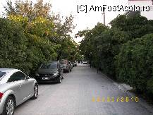 [P35] O alee simpatica si discreta. » foto by bose
 - 
<span class="allrVoted glyphicon glyphicon-heart hidden" id="av128494"></span>
<a class="m-l-10 hidden" id="sv128494" onclick="voting_Foto_DelVot(,128494,7277)" role="button">șterge vot <span class="glyphicon glyphicon-remove"></span></a>
<a id="v9128494" class=" c-red"  onclick="voting_Foto_SetVot(128494)" role="button"><span class="glyphicon glyphicon-heart-empty"></span> <b>LIKE</b> = Votează poza</a> <img class="hidden"  id="f128494W9" src="/imagini/loader.gif" border="0" /><span class="AjErrMes hidden" id="e128494ErM"></span>