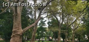 [P09] Parcul Central Tsar Simeon. » foto by Aurici
 - 
<span class="allrVoted glyphicon glyphicon-heart hidden" id="av1203184"></span>
<a class="m-l-10 hidden" id="sv1203184" onclick="voting_Foto_DelVot(,1203184,7278)" role="button">șterge vot <span class="glyphicon glyphicon-remove"></span></a>
<a id="v91203184" class=" c-red"  onclick="voting_Foto_SetVot(1203184)" role="button"><span class="glyphicon glyphicon-heart-empty"></span> <b>LIKE</b> = Votează poza</a> <img class="hidden"  id="f1203184W9" src="/imagini/loader.gif" border="0" /><span class="AjErrMes hidden" id="e1203184ErM"></span>